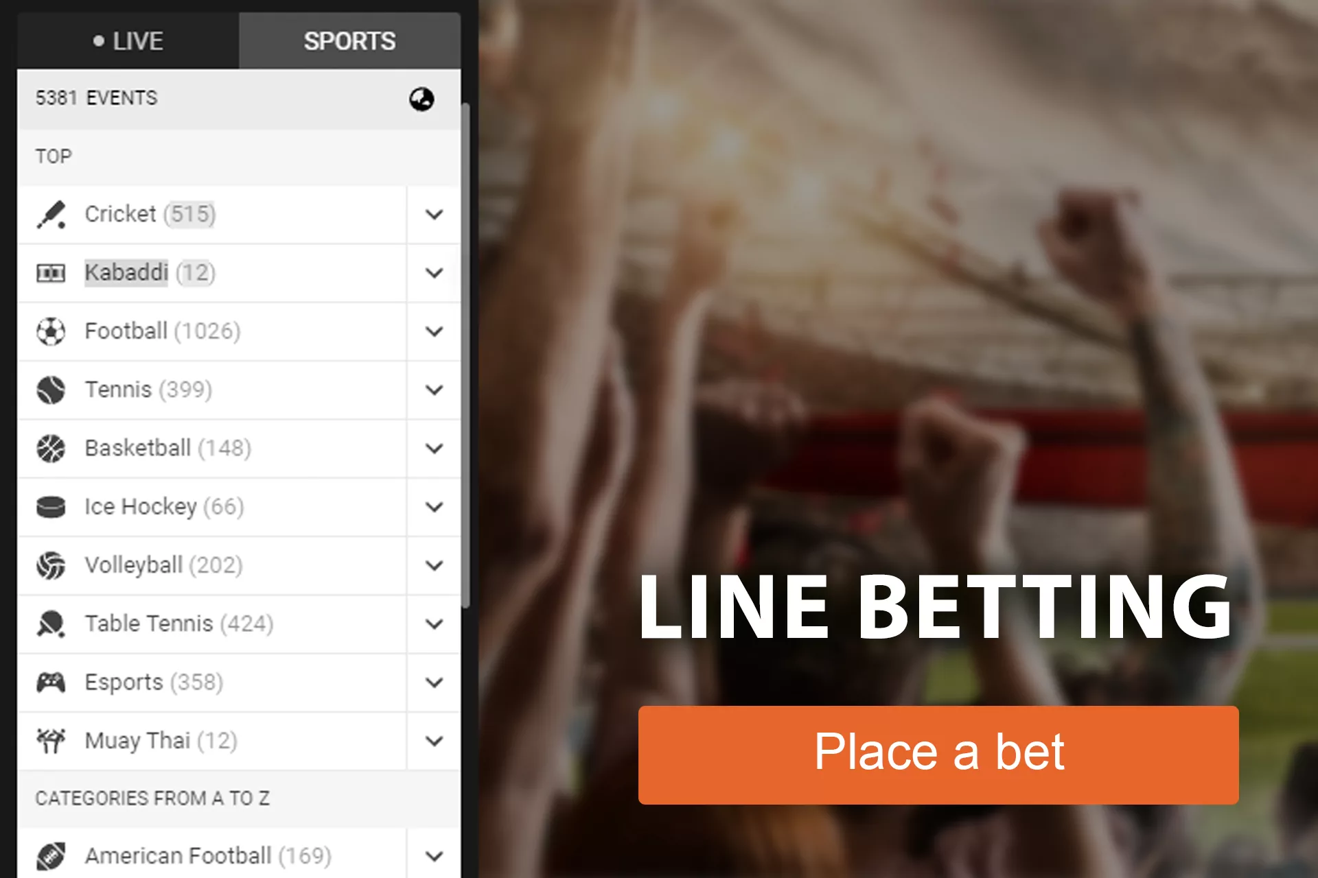 In the line, you find all the most important sports and sports events.