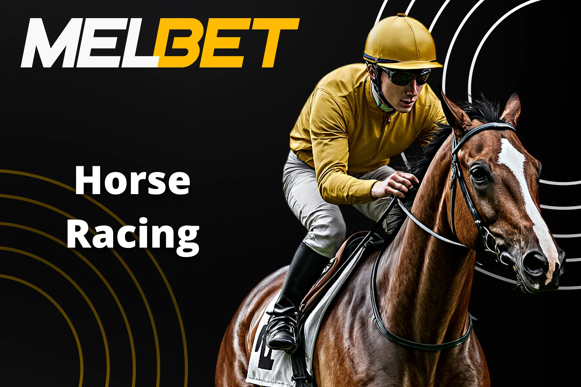 If you like horse racing, look for an event at Melbet.
