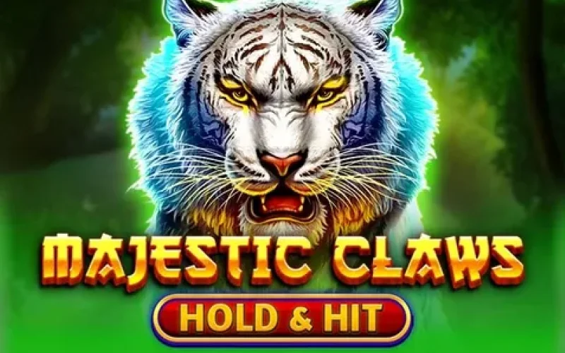 Melbet-এ Majestic Claws খেলুন এবং বন্য বাঘের সাথে জয়ী হন।