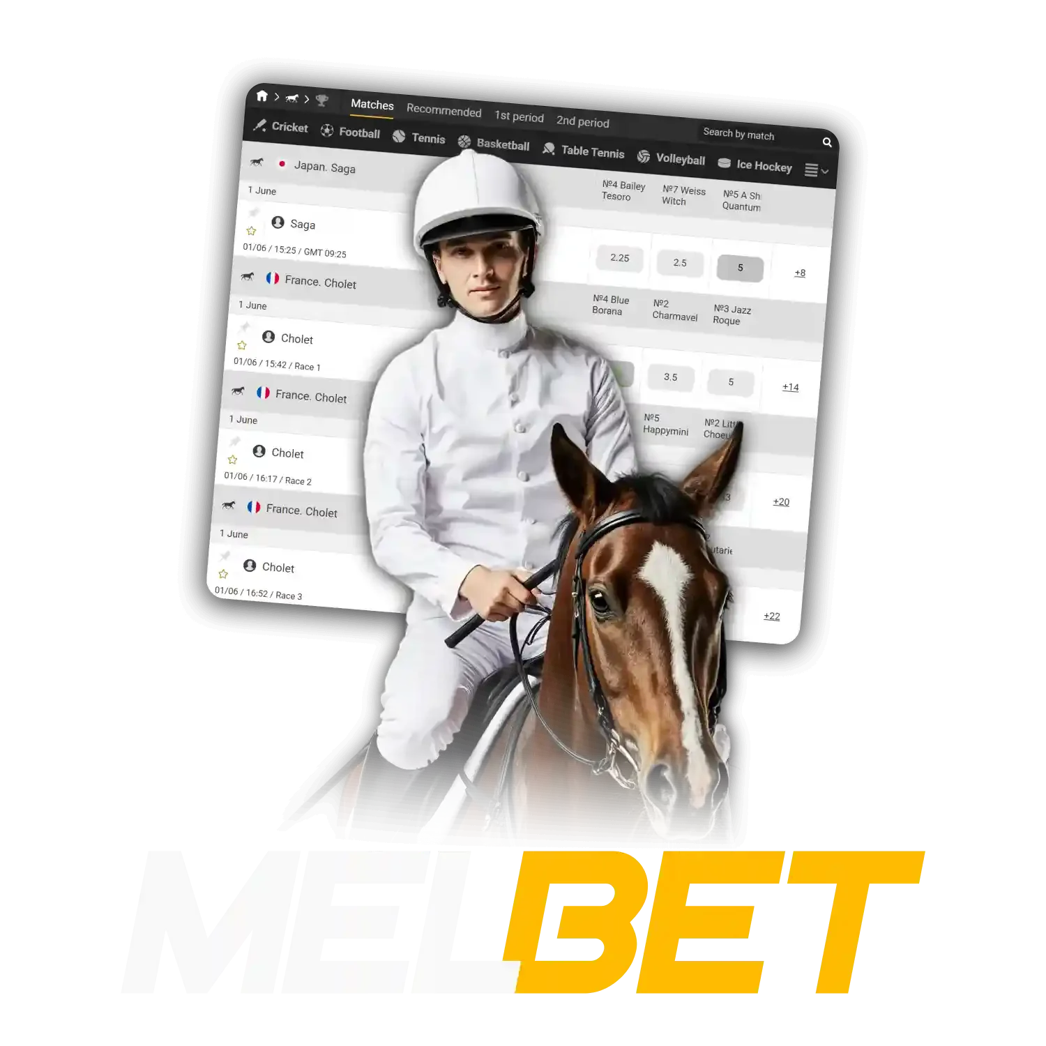 Bet on horse races with Melbet.
